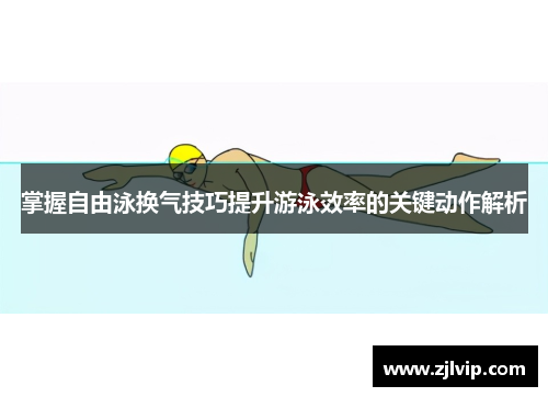 掌握自由泳换气技巧提升游泳效率的关键动作解析