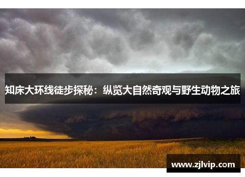 知床大环线徒步探秘：纵览大自然奇观与野生动物之旅