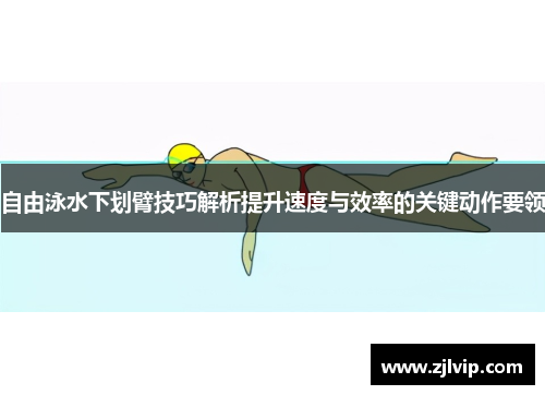 自由泳水下划臂技巧解析提升速度与效率的关键动作要领
