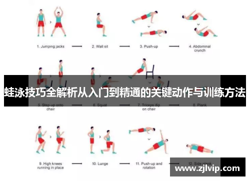 蛙泳技巧全解析从入门到精通的关键动作与训练方法